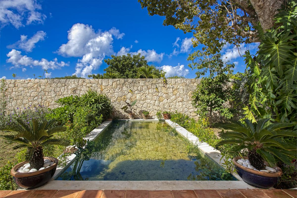 A louer villa 3 chambres Terres Basses Saint Martin_ Jardin - 44